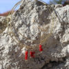 SAVERIU – Image 4