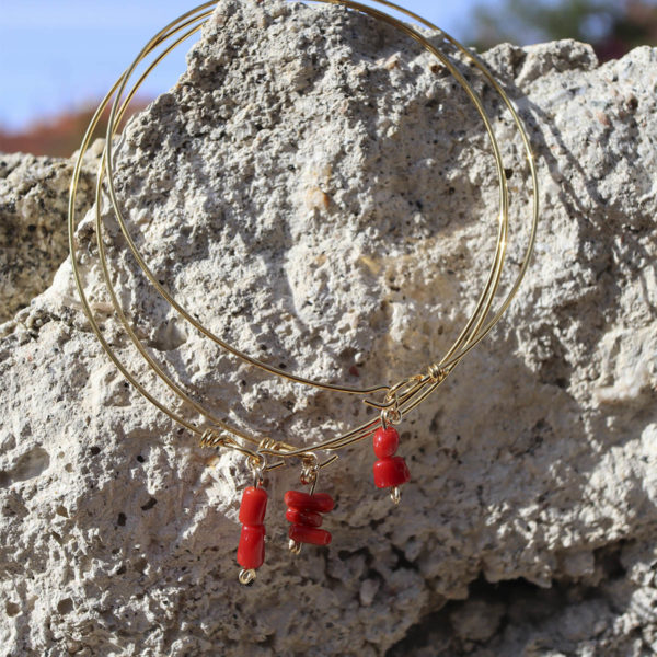SAVERIU – Image 4
