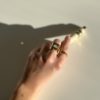 MOLLY – Image 5